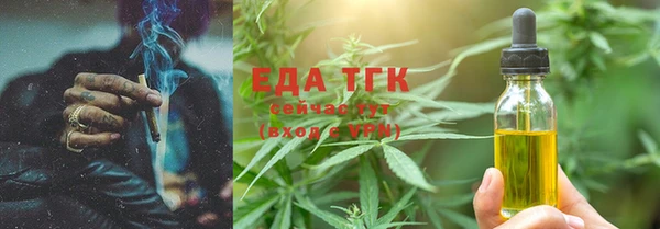 индика Вязьма