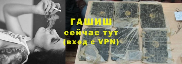 индика Вязьма
