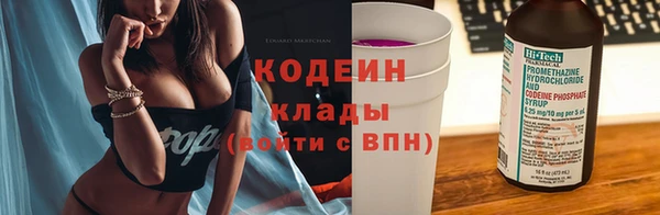 индика Вязьма