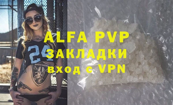 индика Вязьма