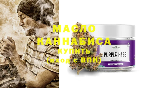 индика Вязьма