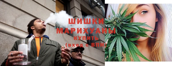 индика Вязьма