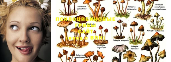 экстази Вязники
