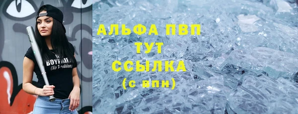 индика Вязьма