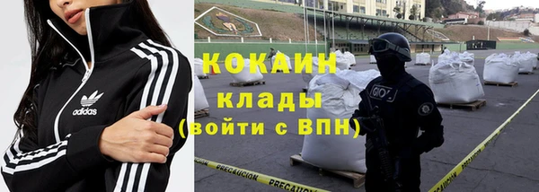 индика Вязьма